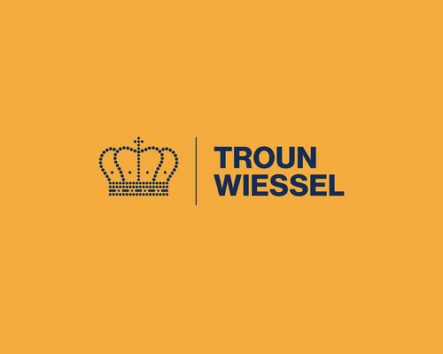 🇱🇺👑 Lëtzebuerg feiert den Trounwiessel vum Groussherzog Henri an dem Ierfgroussherzog Guillaume
